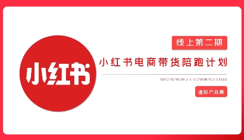 2025小红书虚拟电商实战课，从0到1打造无货源店铺，AI+爆款笔记轻松变现-优优云网创