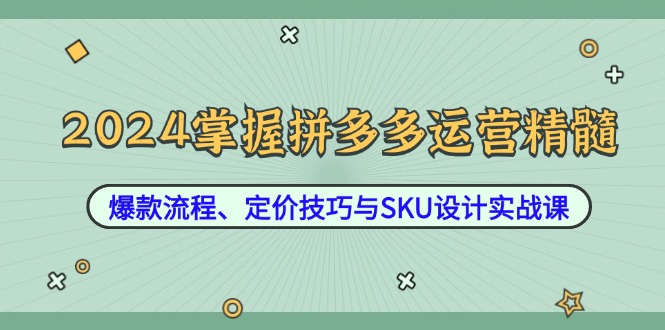 2024掌握拼多多运营精髓：爆款流程、定价技巧与SKU设计实战课-优优云网创