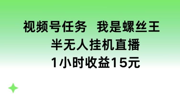 视频号任务，我是螺丝王， 半无人挂机1小时收益15元【揭秘】-优优云网创