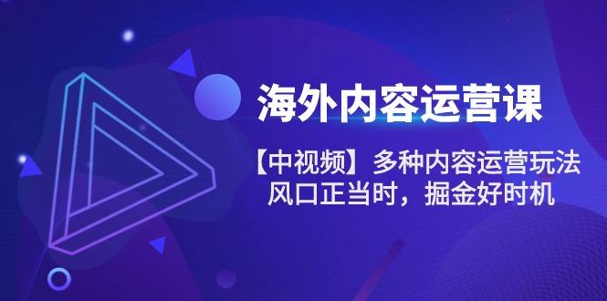 海外内容 运营课【中视频】多种内容运营玩法 风口正当时 掘金好时机-101节-优优云网创
