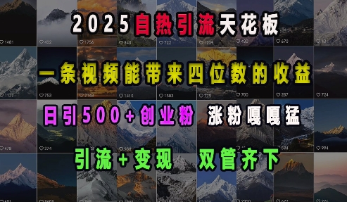 2025自热引流天花板，一条视频能带来四位数的收益，引流+变现双管齐下，日引500+创业粉，涨粉嘎嘎猛-优优云网创