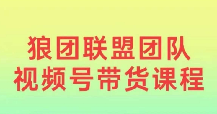 狼团联盟2024视频号带货，0基础小白快速入局视频号-优优云网创