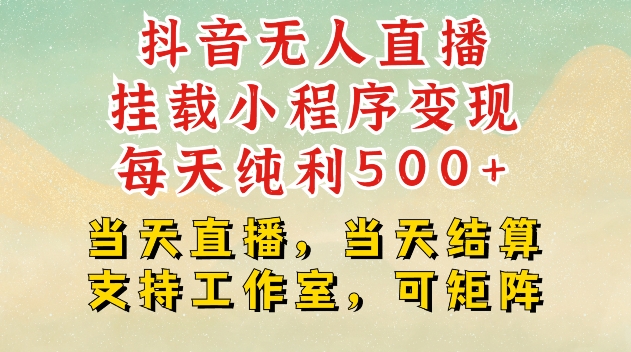 抖音无人直播挂载小程序变现每天纯利500+当天直播，当天结算支持工作室，可矩阵【揭秘】-优优云网创