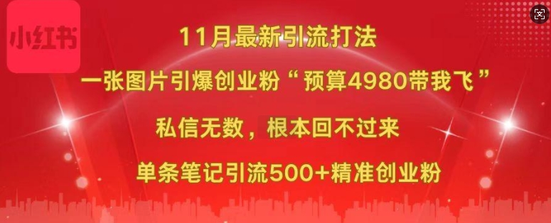 小红书11月最新图片打粉，一张图片引爆创业粉，“预算4980带我飞”，单条引流500+精准创业粉-优优云网创
