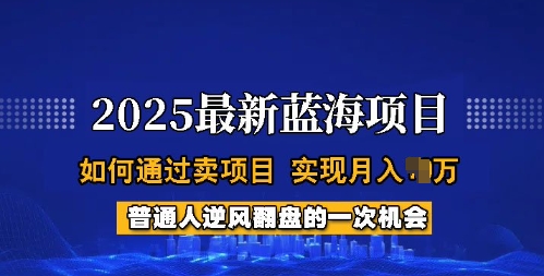 2025蓝海项目，普通人如何通过卖项目，实现月入过W，全过程【揭秘】-优优云网创