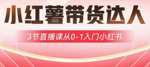小红薯达人带货启航计划，3节直播课从0-1入门小红书-优优云网创