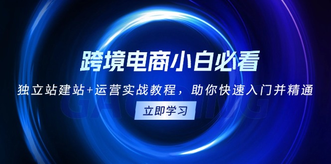 跨境电商小白必看！独立站建站+运营实战教程，助你快速入门并精通-优优云网创