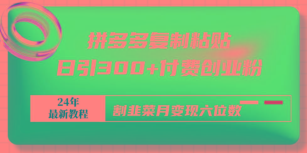 拼多多复制粘贴日引300+付费创业粉，割韭菜月变现六位数最新教程！-优优云网创