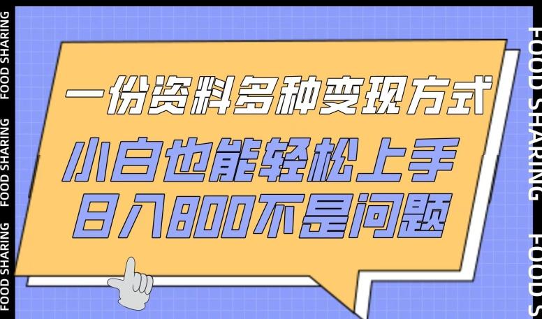 一份资料多种变现方式，小白也能轻松上手，日入800不是问题【揭秘】-优优云网创