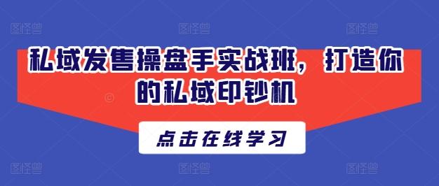 私域发售操盘手实战班，打造你的私域印钞机-优优云网创