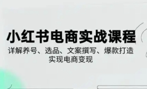 小红书从0-1实操课(2023-2025)，详解养号、选品、文案撰写、爆款打造实现电商变现-优优云网创