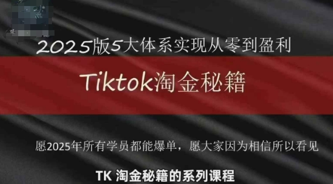 TikTok跨境2025淘金秘籍，​2025TikTok从0到盈利变现-优优云网创