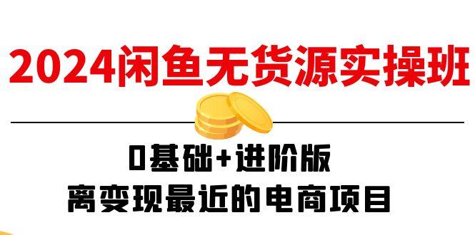 2024闲鱼-无货源实操班：0基础+进阶版，离变现最近的电商项目(15节-优优云网创