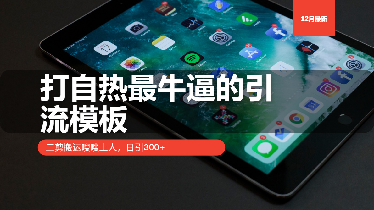 打自热最牛逼的引流模板，二剪搬运嗖嗖上人，日引300+-优优云网创