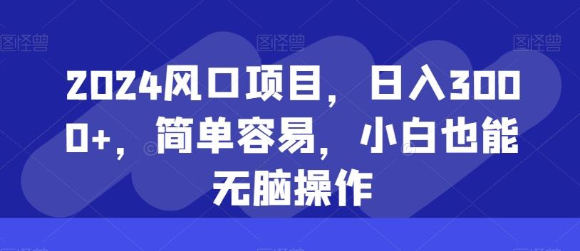 2024风口项目，日入3000+，简单容易，小白也能无脑操作-优优云网创