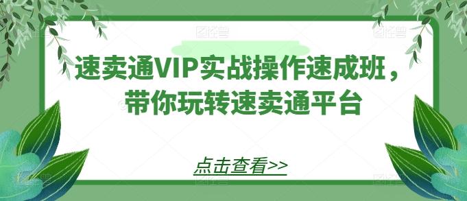 速卖通VIP实战操作速成班，带你玩转速卖通平台-优优云网创