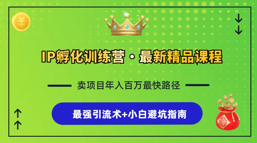IP孵化训练营，知识付费全流程+最强引流术+小白避坑指南-优优云网创