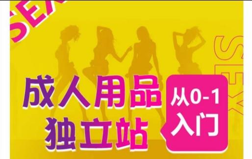 成人用品独立站从0-1入门，成品独立站运营全流程教学，七大好卖成品独立站推荐-优优云网创