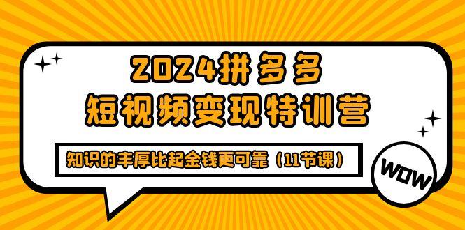(9817期)2024拼多多短视频变现特训营，知识的丰厚比起金钱更可靠(11节课)-优优云网创