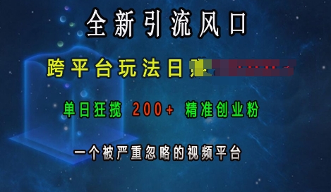全新引流风口，跨平台玩法日入上k，单日狂揽200+精准创业粉，一个被严重忽略的视频平台-优优云网创