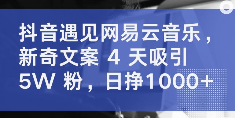 抖音遇见网易云音乐，新奇文案 4 天吸引 5W 粉，日挣1000+【揭秘】-优优云网创