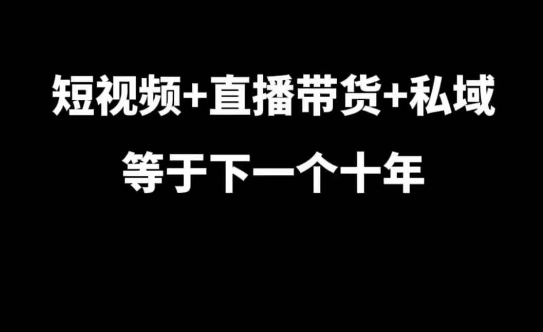 短视频+直播带货+私域等于下一个十年，大佬7年实战经验总结-优优云网创
