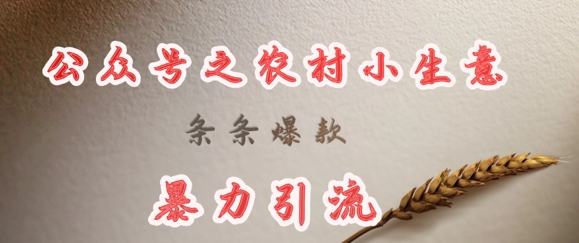 deepseek写农村小项目，条条爆款，暴力引流-优优云网创