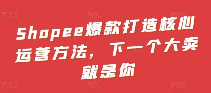 Shopee爆款打造核心运营方法，下一个大卖就是你-优优云网创
