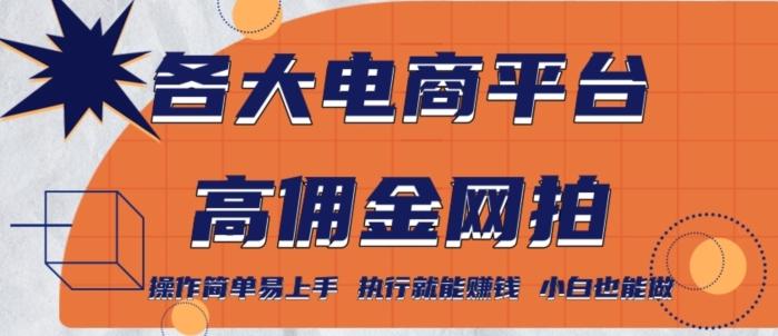 各大电商平台高佣金网拍，操作简单易上手，执行就能赚钱，小白也能做-优优云网创