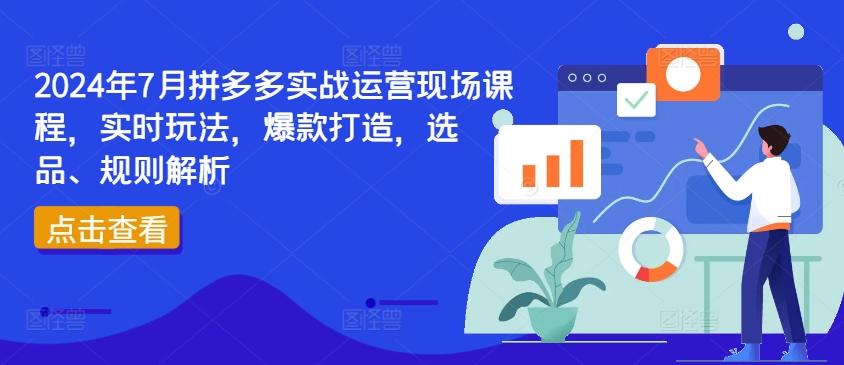 2024年7月拼多多实战运营现场课程，实时玩法，爆款打造，选品、规则解析-优优云网创