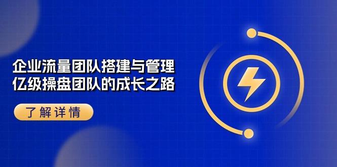 企业 流量团队-搭建与管理，亿级 操盘团队的成长之路(28节课-优优云网创