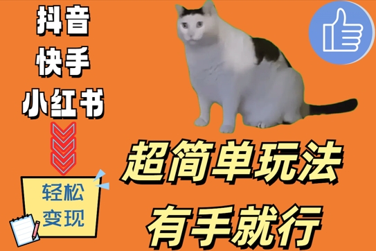 超简单玩法，有手就行，靠猫咪视频日入500+【揭秘】-优优云网创