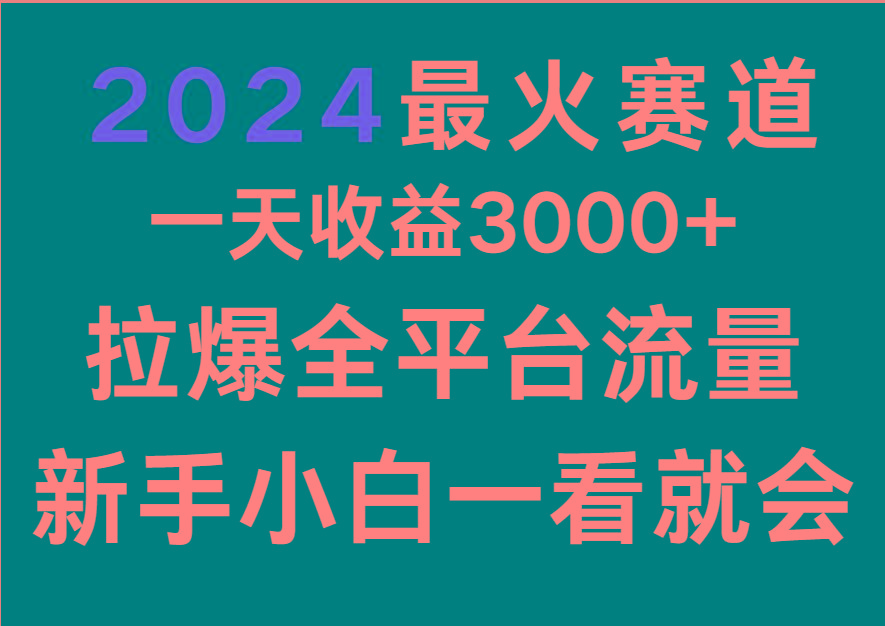 2024最火赛道，一天收一3000+.拉爆全平台流量，新手小白一看就会-优优云网创