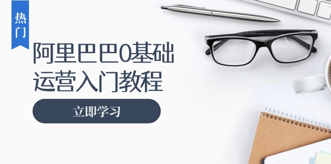 阿里巴巴运营零基础入门教程：涵盖开店、运营、推广，快速成为电商高手-优优云网创