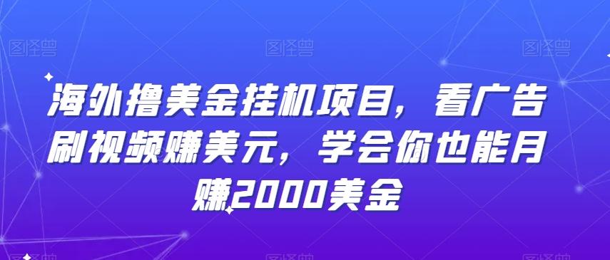海外撸美金挂机项目，看广告刷视频赚美元，学会你也能月赚2000美金-优优云网创