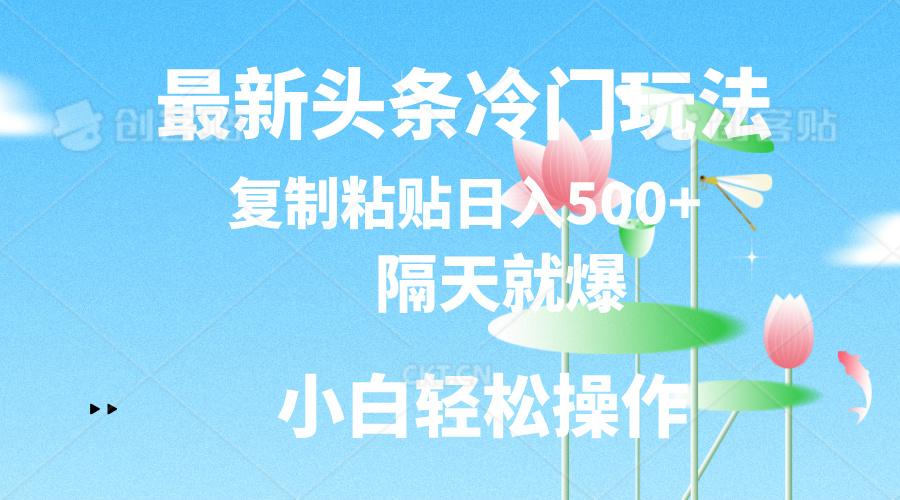 最新头条冷门玩法，隔天就爆，复制粘贴日入500+-优优云网创