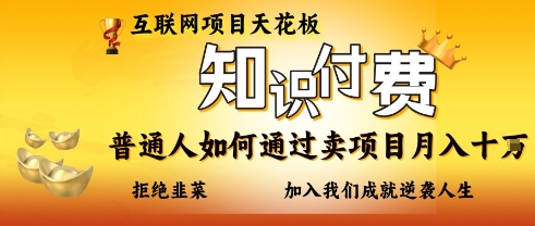 互联网项目天花板，知付付费项目，普通人如何通过卖项目月入十个，拒绝韭菜【揭秘】-优优云网创