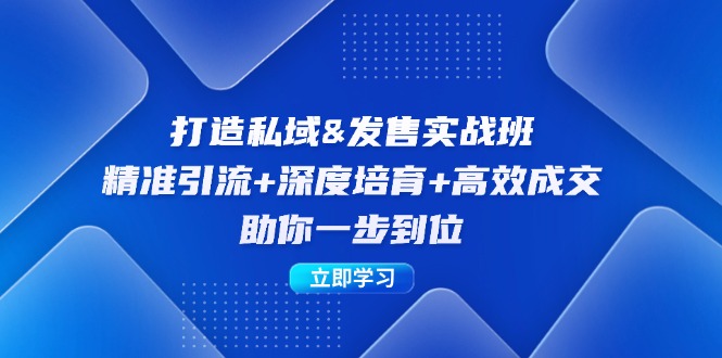 打造私域&发售实操班：精准引流+深度培育+高效成交，助你一步到位-优优云网创