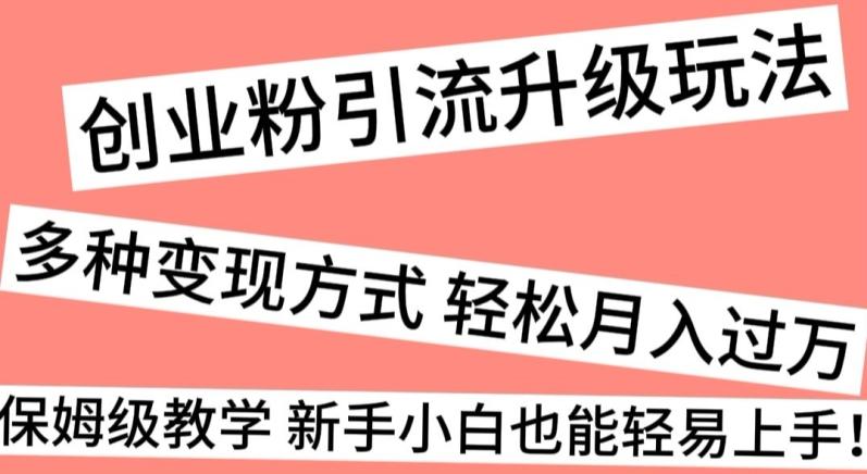 创业粉引流升级玩法，多种变现方式轻松月入过万，保姆级教学新手小白也能轻易上手！-优优云网创