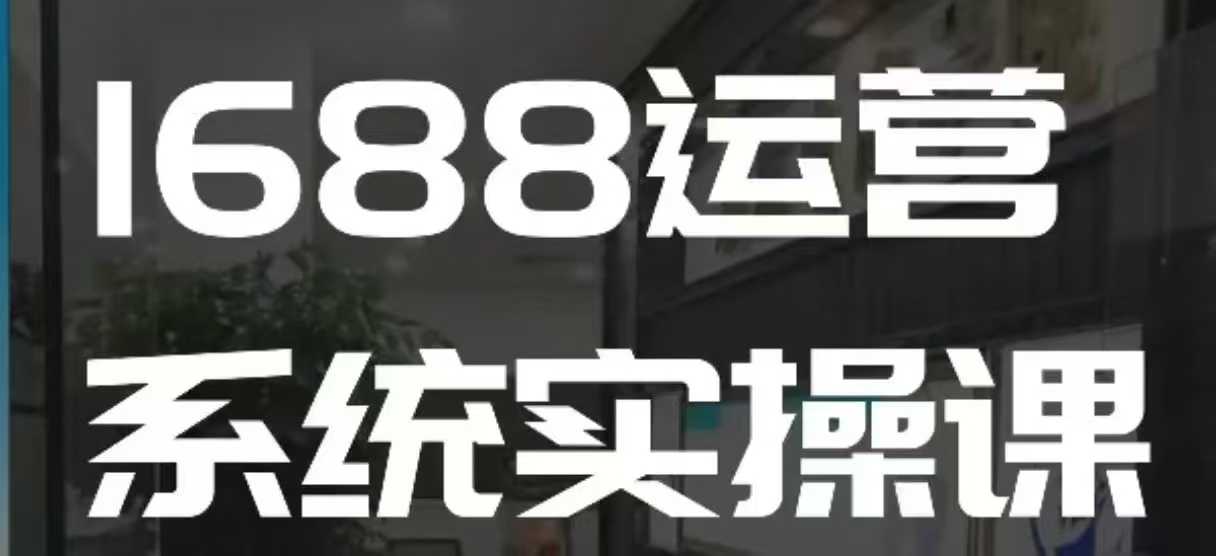1688高阶运营系统实操课，快速掌握1688店铺运营的核心玩法-优优云网创