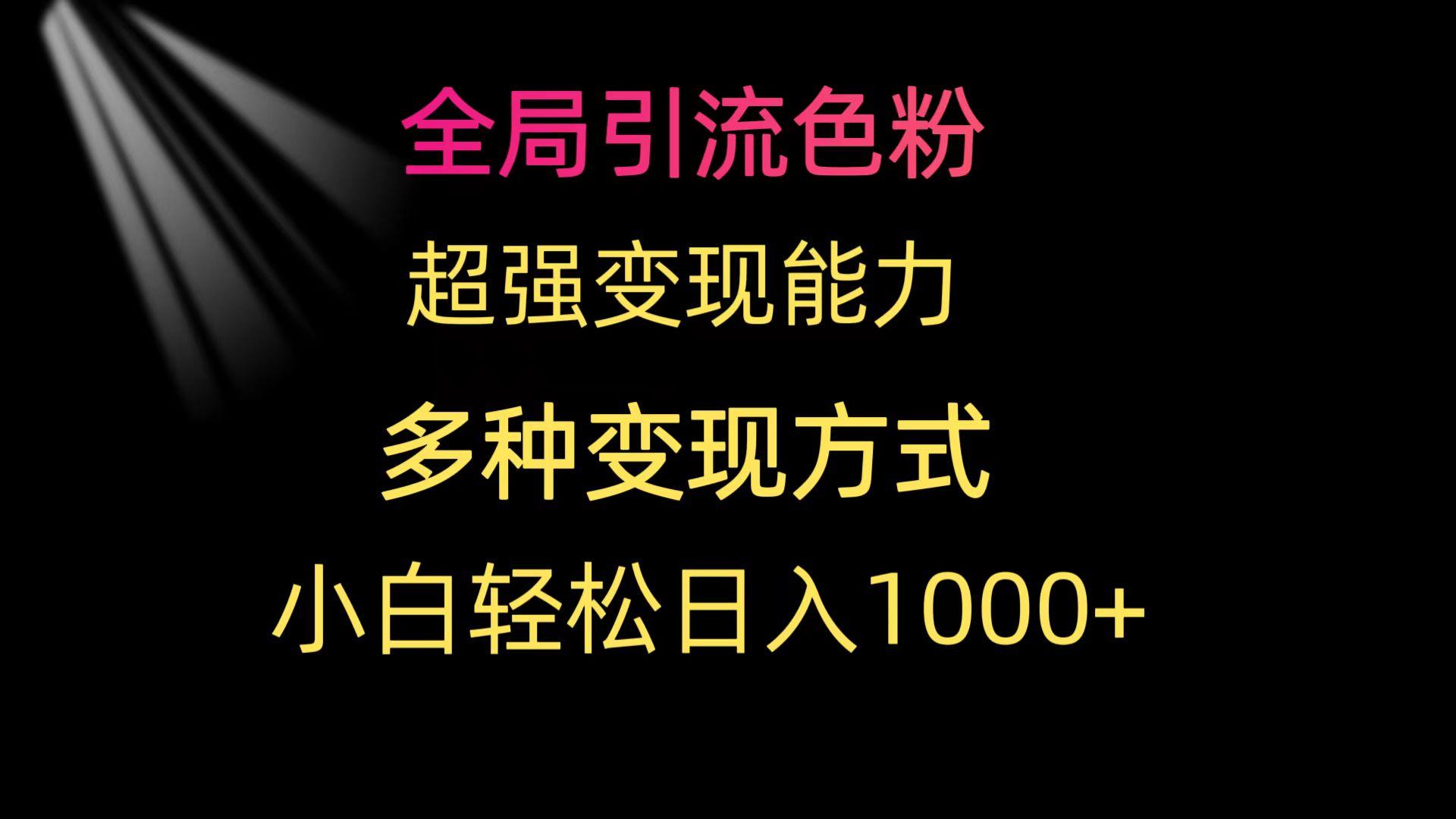 (9680期)全局引流色粉 超强变现能力 多种变现方式 小白轻松日入1000+-优优云网创