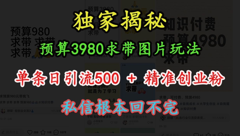 预算3980求带 图片玩法，单条日引流500+精准创业粉，私信根本回不完-优优云网创