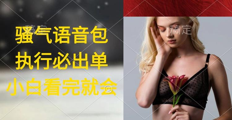 (9589期)执行就出单，日入2000+，超火骚气语音包，小白看完课程就能马上实操-优优云网创