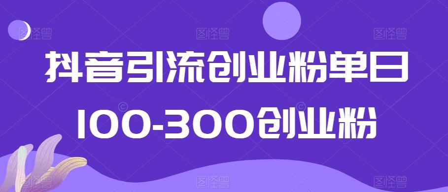 抖音引流创业粉单日100-300创业粉【揭秘】-优优云网创