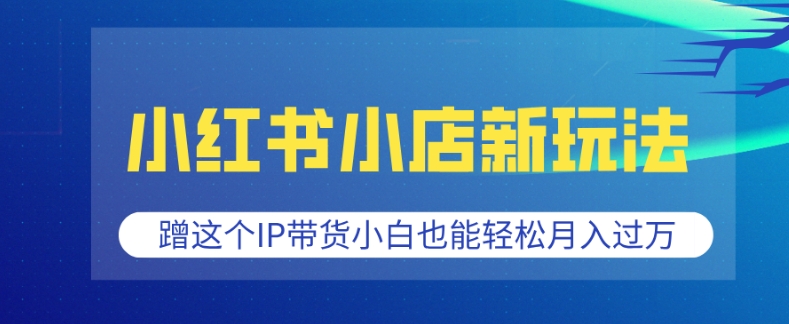 小红书小店新玩法，蹭这个IP带货，小白也能轻松月入过W【揭秘】-优优云网创