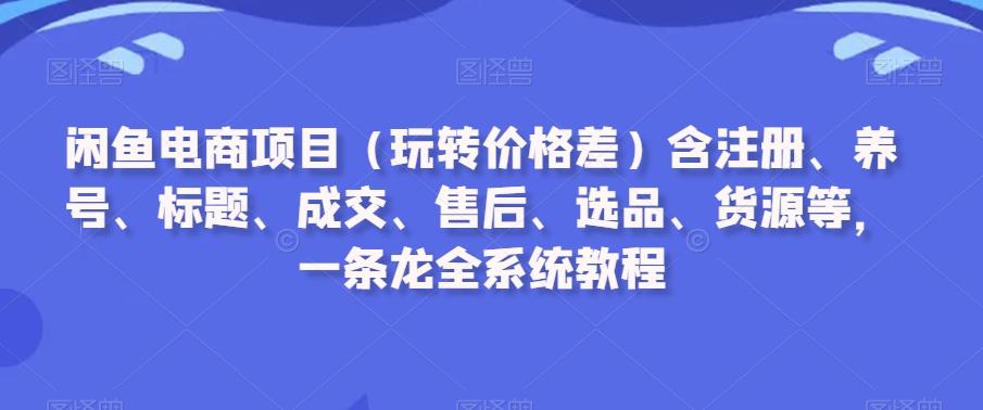 闲鱼电商项目(玩转价格差)含注册、养号、标题、成交、售后、选品、货源等，一条龙全系统教程-优优云网创
