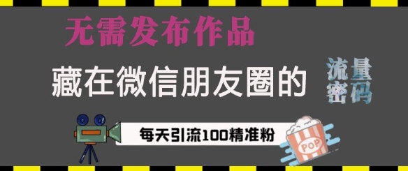 藏在微信朋友圈的流量密码，无需发布作品，单日引流100+精准创业粉【揭秘】-优优云网创