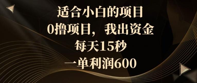 适合小白的项目，0撸项目，我出资金，每天15秒，一单利润600-优优云网创