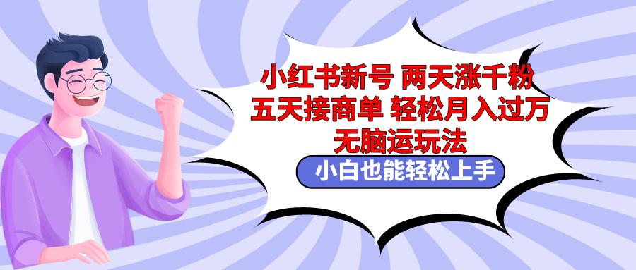 小红书新号两天涨千粉五天接商单轻松月入过万 无脑搬运玩法 小白也能轻…-优优云网创
