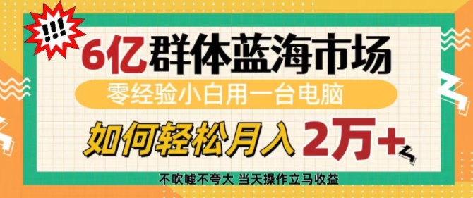 6亿群体蓝海市场，零经验小白用一台电脑，如何轻松月入过w【揭秘】-优优云网创